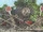 ThomasandtheNewEngine15.PNG