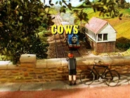 CowsTitleCard