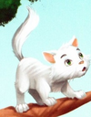 Whiskers.png