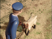 Percy's fireman giving the ram some cabbage