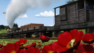 A brake van in the sixteenth series