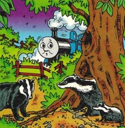 The badgers' habitat