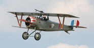 Tiger Moth's Basis