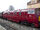 Diesel10'sbasis.jpg