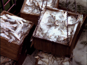 SomethingInTheAir2.png (2.49 מ"ב)