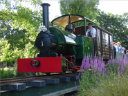 Teddy Boston's locomotive, Pixie