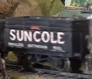 Suncole