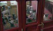 Farmer McColl's sheep in the sixth series