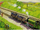 HenryandtheElephantRS7.PNG