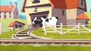 A cow in front of the barn