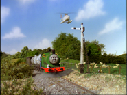 Sheep in the fifth series