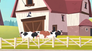 Three cows at the farm