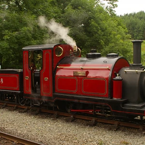 duke thomas and friends