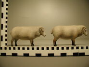 Sheep (large scale)