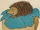 Hedgehogs