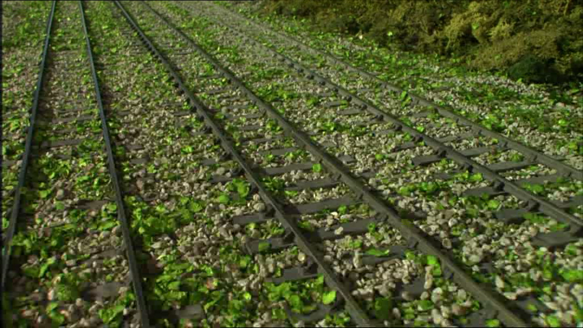 Thomas Sets Sail/Gallery Thomas the Tank Engine Wiki Fandom