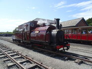 Prince at Tywyn Wharf in 2015