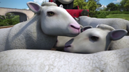 Farmer McColl's sheep in Journey Beyond Sodor