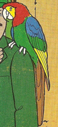 Charlie (The Parrot)