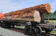 An example of a real skeleton log car