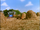 The Hay Farm