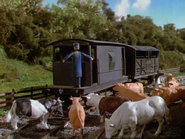 Edward's guard outside a BR brake van and a cattle wagon after cows have charged the train