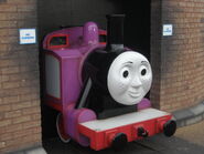 Rosie in the sheds at Drayton Manor Resort