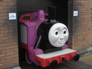 Rosie in the sheds at Drayton Manor