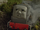 Thomas'DayOff53.png