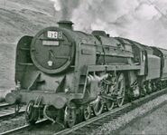 The green engine's basis
