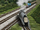 KingoftheRailway176.png