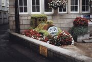 StIvesGuildhallThomas