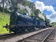 828DoubleHeader2890.jpg (310 KB) 828 and 2890 doubleheading at the Spa Valley Railway