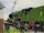 Henry'sSneezeRS4.PNG