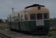 Daisy at the Bellarine Peninsula Railway