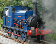 Friendly Steamie's basis