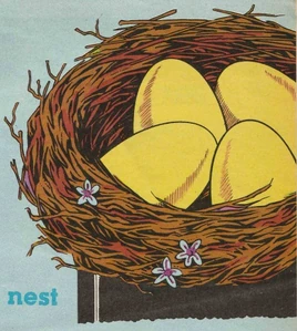 ThomasAndTheBird'sNest1