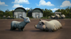VeryImportantSheep115.png