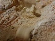 Heroes49.png (2.27 מ"ב)