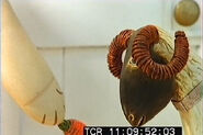 The Ram in a deleted scene