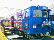 Fujikyu Series 5000 exhibited at Shimoyoshida Station