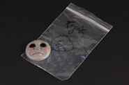 The face with its storage bag as prior to being sold