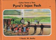 Welsh edition