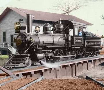 3 foot gauge locomotive for sale sale