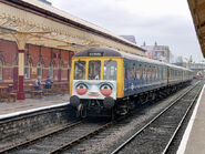 Bolton Street Station Daisy