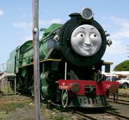 Henry in the Bellarine Peninsula Railway (3D Face)