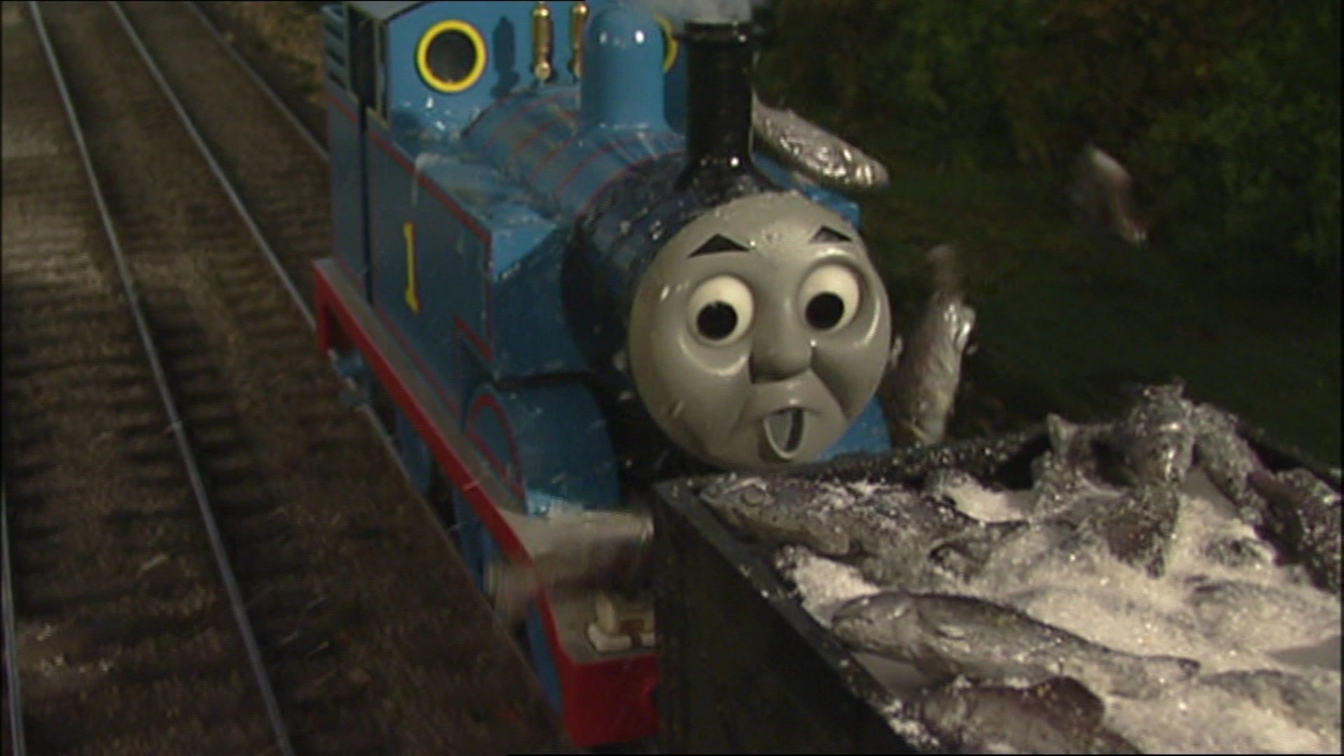 Fish | Thomas the Tank Engine Wikia 