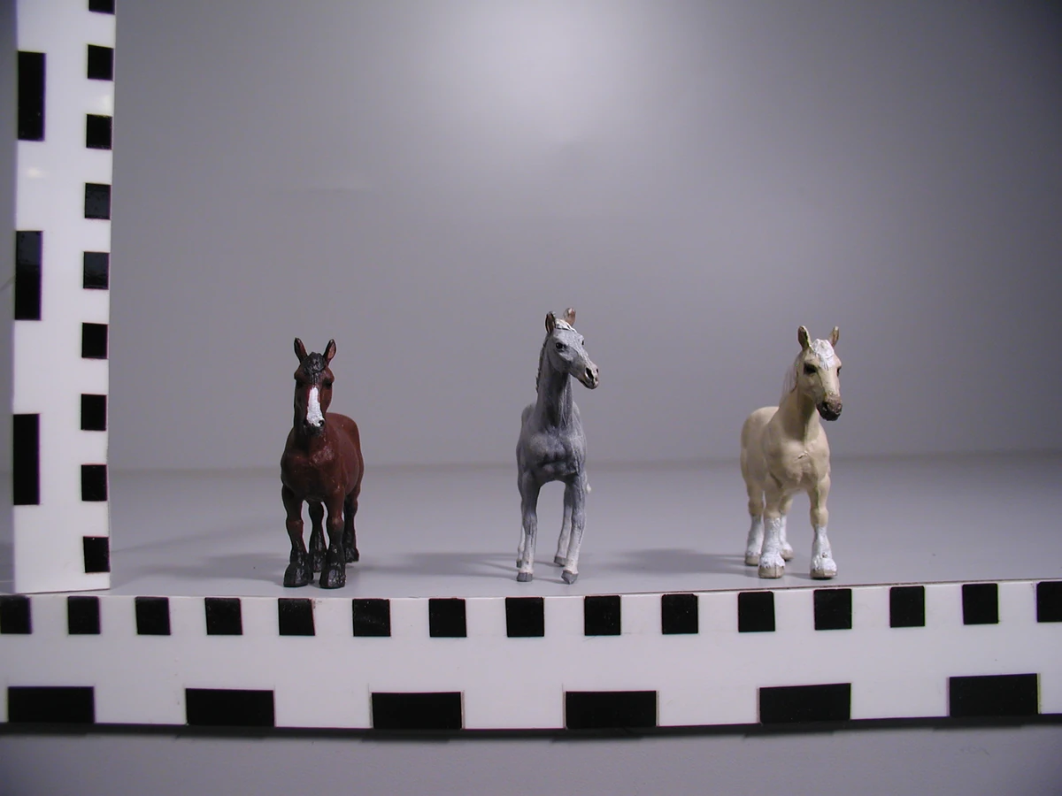 Horses Thomas The Tank Engine Wiki Fandom horses-thomas-the-tank-engine-wiki-fandom