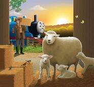 Farmer McColl's sheep in Thomas and the Spring Surprise