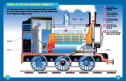 How a Steam Engine Works